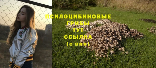 мяу мяу мука Михайлов