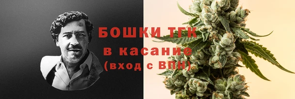 мяу мяу мука Михайлов