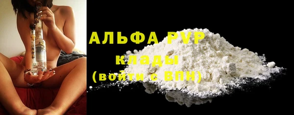 мяу мяу мука Михайлов