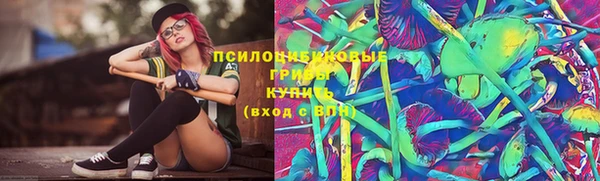 мяу мяу мука Михайлов