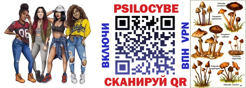 Галлюциногенные грибы Psilocybe  kraken зеркало  Липецк 
